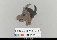 藏品(中國湖北皮影戲偶頭-牛)的圖片